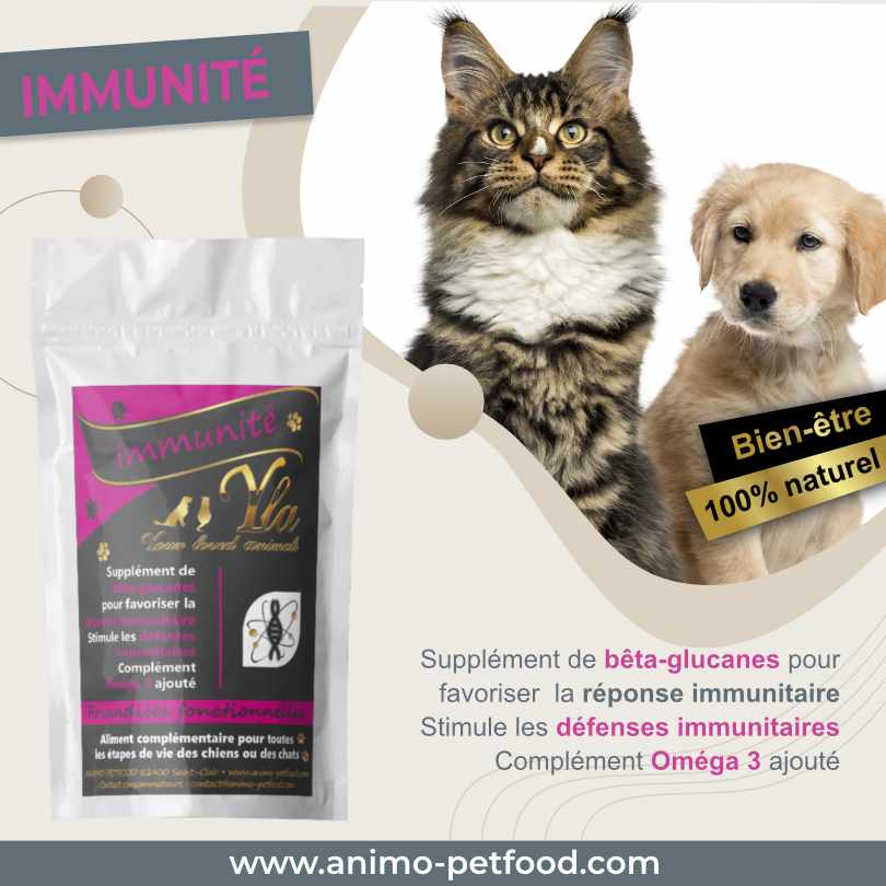 friandises-chiens-et-chats-pour-aider-le-systeme-immunite